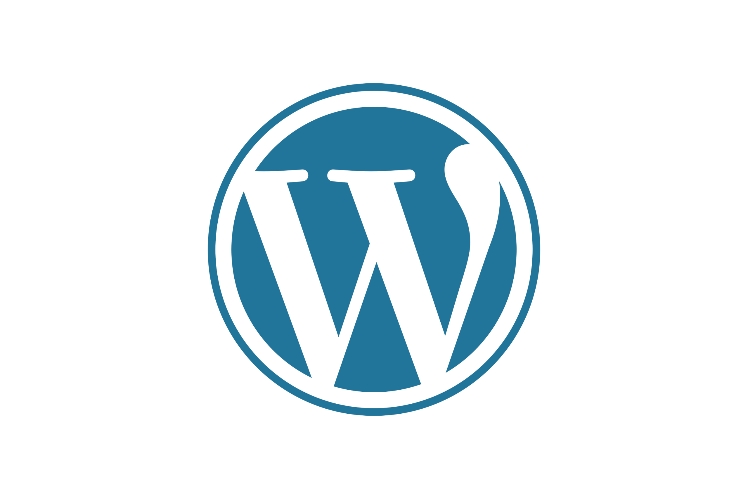 WordPress Web Development – Woocommerce